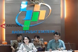 BPS: bagasi berbayar turunkan jumlah penumpang pesawat