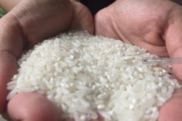 Kota Malang Perlu Waspadai Kenaikan Harga Beras