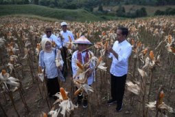 Jokowi: Indonesia Sedang Berproses Menuju Ketahanan Pangan