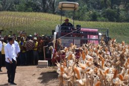 Bupati Indra Sebut Kunjungan Presiden Semangat Untuk Petani Jagung
