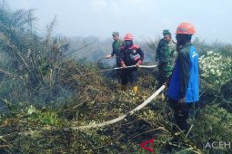 Dandim: Karhutla di Nagan Raya telah padam 80 persen