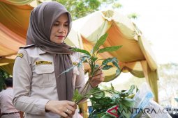 Aceh ekspor aglaonema ke Jepang