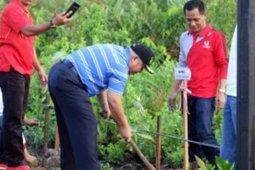 Bupati Tanjabbar ajak warga aktif tanam mangrove