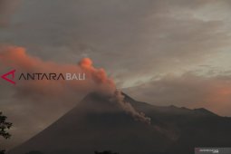 Awan panas guguran keluar dari Merapi