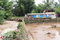 Banjir rendam puluhan rumah dan sawah warga Rejang Lebong