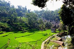 Kampung Naga di Tasikmalaya tarik wisatawan mancanegara