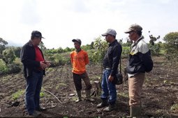 Peneliti BPTP gandeng petani tebu Kerinci terapkan teknologi penanaman