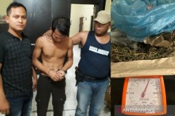 Satnarkoba Polres Tanjungbalai ringkus pengedar ganja