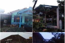 Pengendara motor tewas tertimpa pohon akibat angin kencang di Probolinggo
