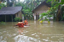 Dua kecamatan di Jember dilanda banjir