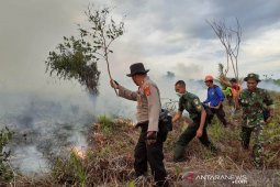 BPBA tingkatkan sinergitas atasi Karhutla