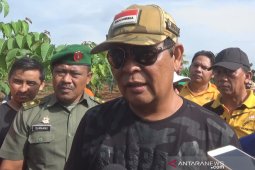 Dishut libatkan masyarakat tanami lahan kritis