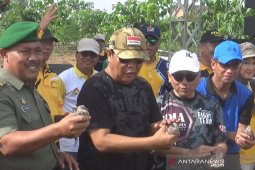 Forestry plants 1,500 typical Kalimantan trees