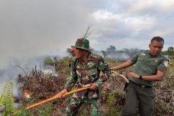 Belasan hektare lahan gambut di Nagan Raya terbakar