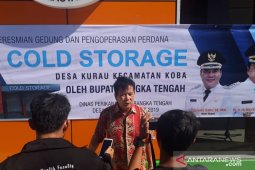 Bupati Bangka Tengah: "cold storage" solusi untuk menstabilkan harga ikan