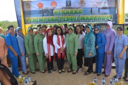 "Perempuan peduli mangrove" tanam 2.000 batang di Selotong