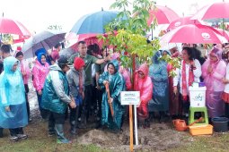 Ibu Negara ajak masyarakat jaga lingkungan dengan menanam Mangrove