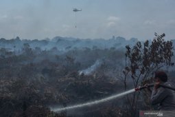 Penanganan karhutla harus lebih condong ke pencegahan
