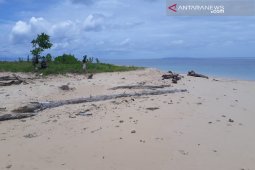 Bandara Wasior Teluk Wondama dibangun 2020