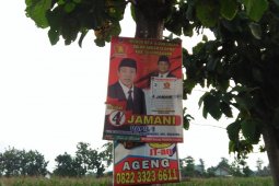 Pemasangan APK caleg di pohon jalur hijau dikecam aktivis lingkungan