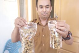 Bisnis lokan crispy jadi usaha berkambang di Aceh Singkil