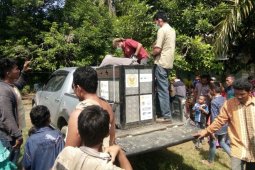 BKSDA Aceh evakuasi orang utan dengan kondisi luka tembak