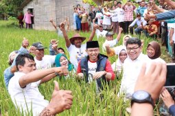 TKN optimistis petani Indramayu pilih Jokowi-Amin di Pilpres 2019
