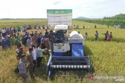 Distan-BI cari lokasi buat kawasan percontohan pertanian modern