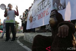Aksi Peduli Orangutan Sumatera