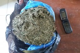 Polisi Langkat amankan ganja 1.300 gram dari penumpang bus