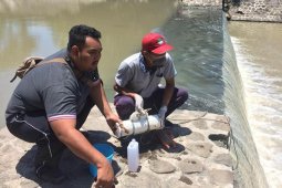 DLHK Denpasar cek kandungan air sungai di sembilan titik