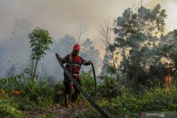 Jumlah titik panas indikasi Karhutla di Riau turun drastis