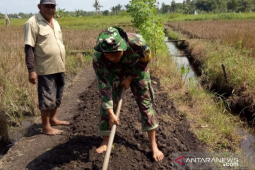 TNI bantu petani Belitung tanami padi 10 hektare