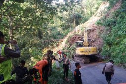 Tebing di Piket Nol longsor, Jalur Lumajang-Malang ditutup total (Video)