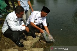 Kota Palembang maksimalkan penebaran benih ikan