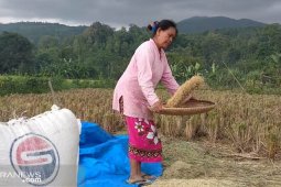 Jarot wajibkan ASN beli beras produksi Tawang Sari