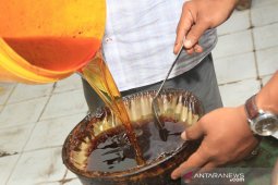 Harga minyak nilam naik