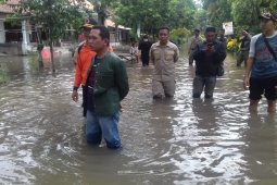 Bupati Lumajang tinjau banjir di Rowokangkung