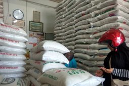 Harga beras di Banda Aceh turun Rp8.000 per sak