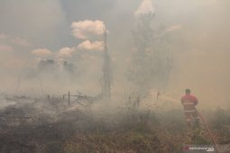 Akademisi minta pelaku pembakaran hutan di Riau dihukum berat