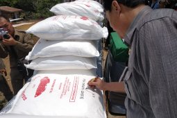 Investor bidik 5.000 hektare lahan Kapuas Hulu untuk tanaman ubi