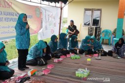 Ketua TP PKK Tapin sosialisasikan pemahaman stunting ke desa-desa