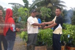 Tiga Desa di Paser Kembangkan 2000 Bibit Klengkeng