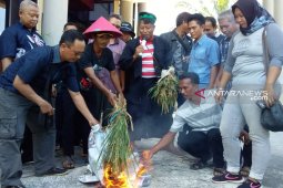 Harga gabah anjlok dikeluhkan petani Jember