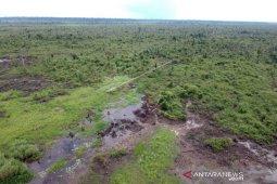 Kemenhut tetapkan seorang warga Tanjung Jabung sebagai tersangka jual beli lahan kawasan Tahura OKH Jambi
