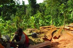 Profauna: Pembalakan liar hutan Apusan ancam kelestarian satwa langka