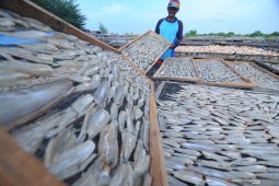Harga Ikan Kering Turun