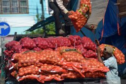 Pasokan bawang impor
