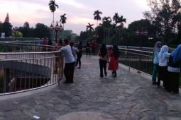 "Jelayang" manjadi daya tarik baru Taman Anggrek Jambi