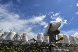 Target produksi padi